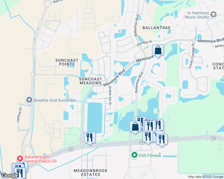 map of restaurants, bars, coffee shops, grocery stores, and more near 3004 Prairie Iris Drive in Land O' Lakes