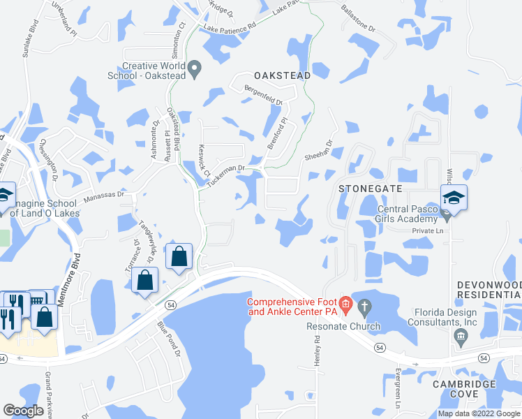 map of restaurants, bars, coffee shops, grocery stores, and more near 3037 Lynwood Court in Land O' Lakes