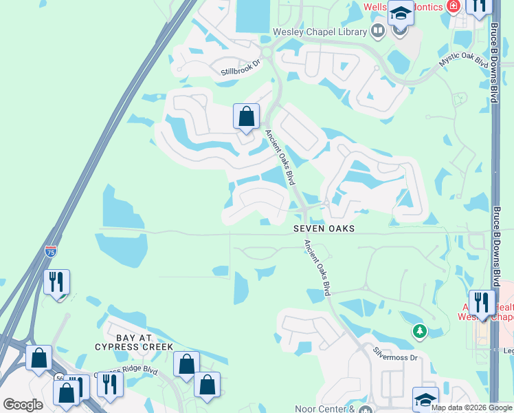 map of restaurants, bars, coffee shops, grocery stores, and more near 27050 Palmetto Bend Drive in Wesley Chapel