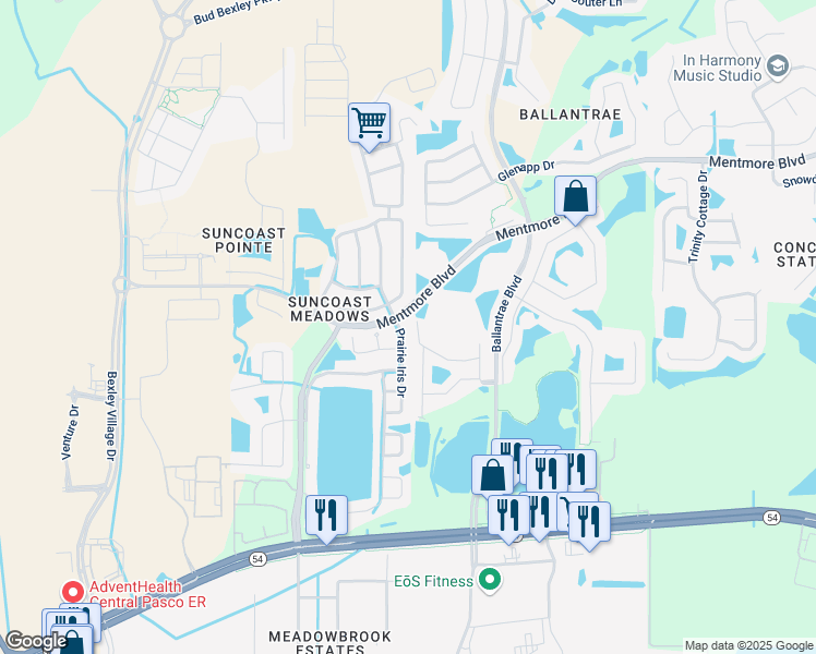 map of restaurants, bars, coffee shops, grocery stores, and more near 3018 Prairie Iris Drive in Land O' Lakes
