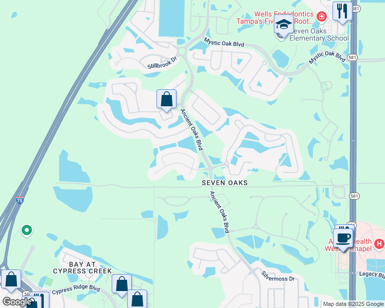 map of restaurants, bars, coffee shops, grocery stores, and more near 27145 Firebush Drive in Wesley Chapel