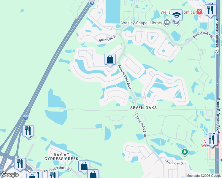 map of restaurants, bars, coffee shops, grocery stores, and more near 27041 Firebush Drive in Wesley Chapel