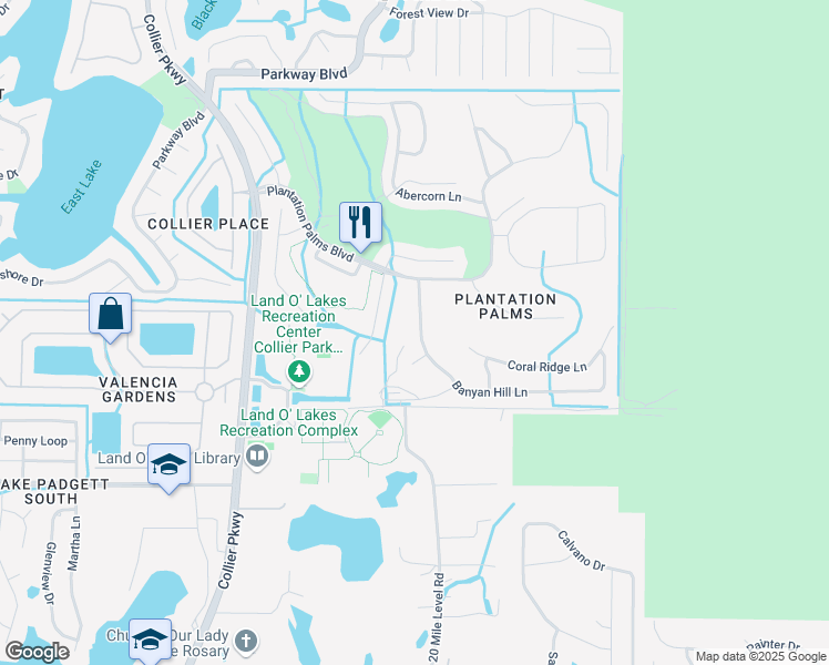 map of restaurants, bars, coffee shops, grocery stores, and more near 3141 Banyan Hill Lane in Land O' Lakes