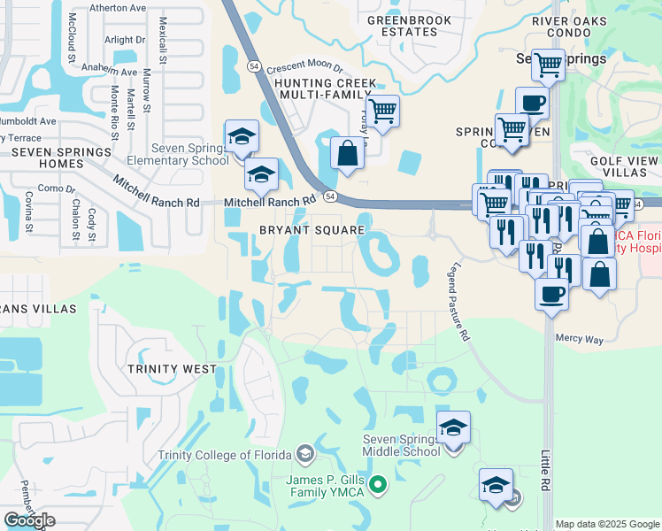 map of restaurants, bars, coffee shops, grocery stores, and more near 8324 Highway 54 in New Port Richey