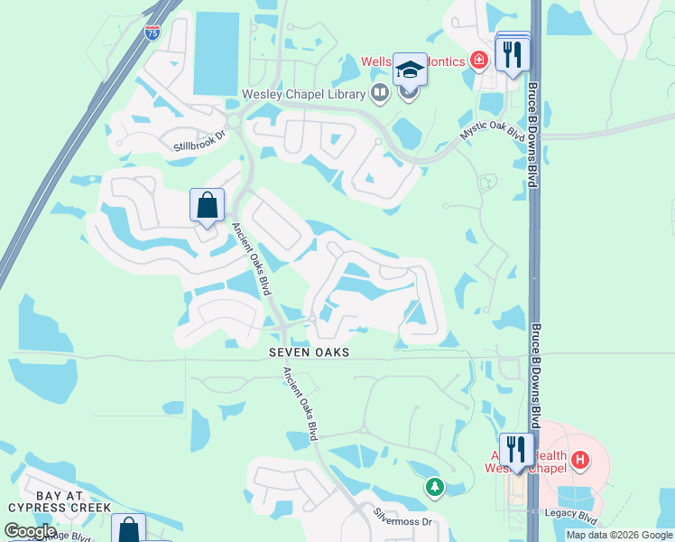 map of restaurants, bars, coffee shops, grocery stores, and more near 27312 Edenfield Drive in Wesley Chapel