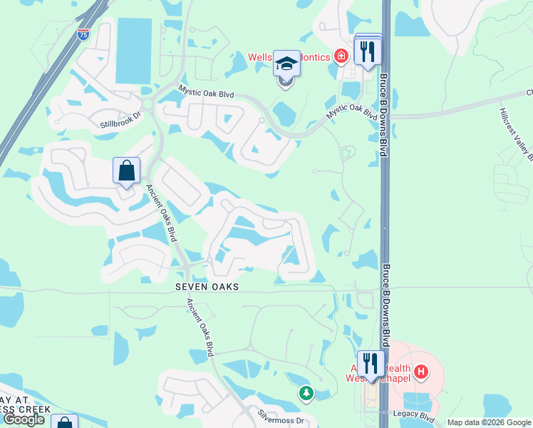 map of restaurants, bars, coffee shops, grocery stores, and more near 27525 Edenfield Drive in Wesley Chapel