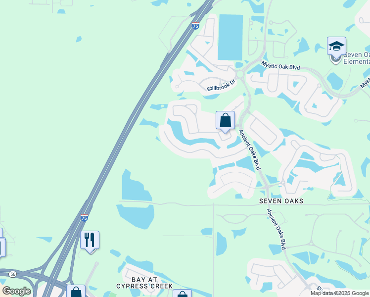 map of restaurants, bars, coffee shops, grocery stores, and more near 26819 Winged Elm Drive in Wesley Chapel