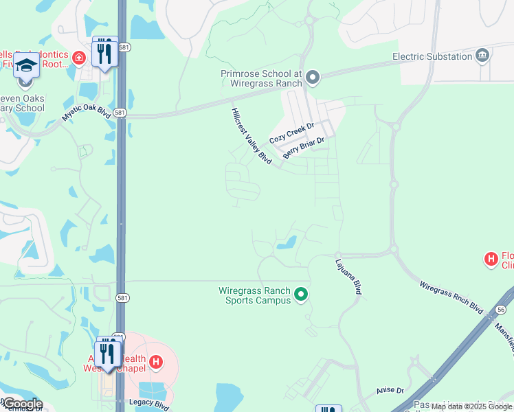 map of restaurants, bars, coffee shops, grocery stores, and more near 28502 Tranquil Lake Circle in Wesley Chapel