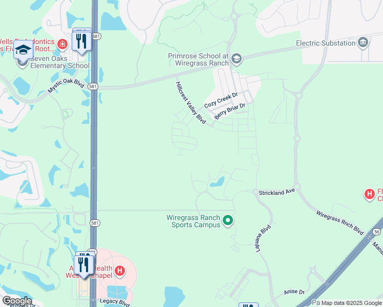 map of restaurants, bars, coffee shops, grocery stores, and more near 28496 Tranquil Lake Circle in Wesley Chapel