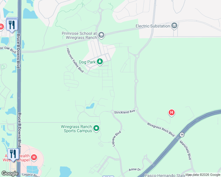 map of restaurants, bars, coffee shops, grocery stores, and more near Mansfield Boulevard in Wesley Chapel