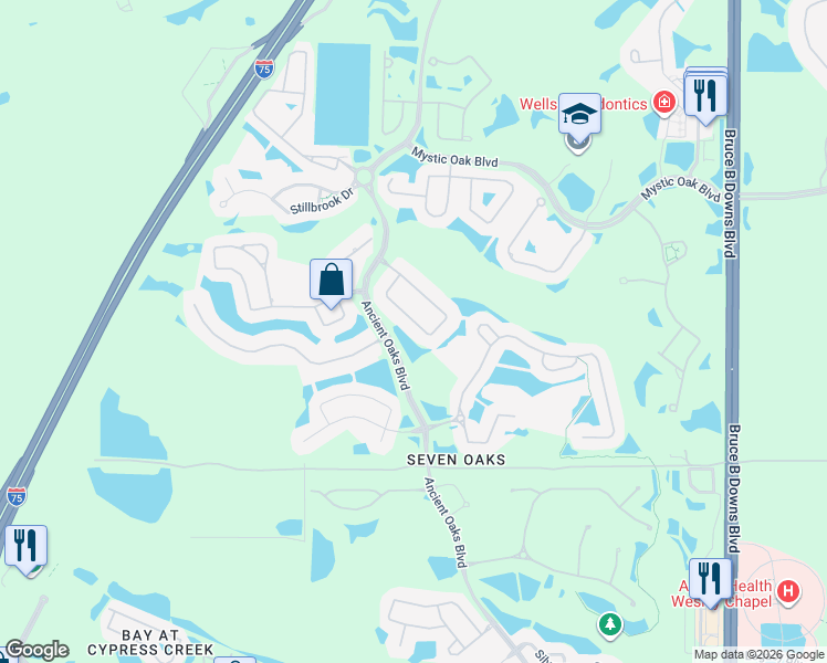 map of restaurants, bars, coffee shops, grocery stores, and more near 3336 Chapel Creek Circle in Wesley Chapel