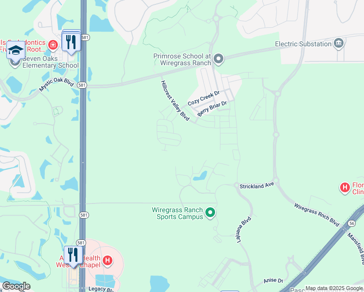 map of restaurants, bars, coffee shops, grocery stores, and more near 28510 Tranquil Lake Circle in Zephyrhills