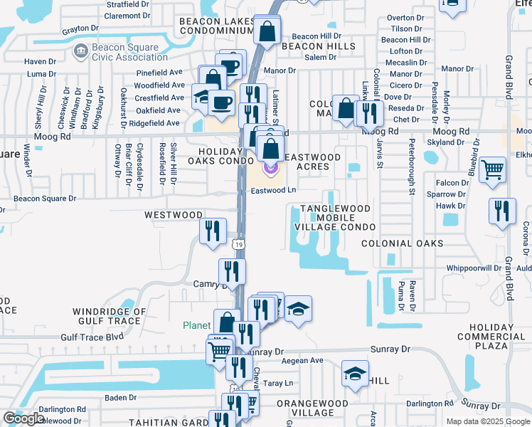map of restaurants, bars, coffee shops, grocery stores, and more near 3214 U.S. 19 in Holiday