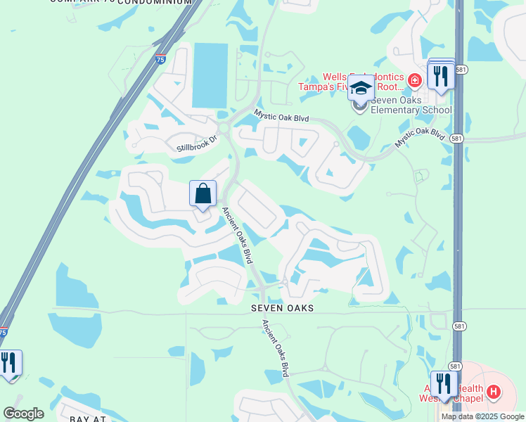 map of restaurants, bars, coffee shops, grocery stores, and more near 3411 Chapel Creek Circle in Wesley Chapel
