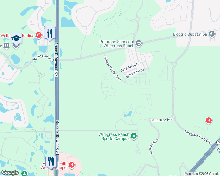 map of restaurants, bars, coffee shops, grocery stores, and more near 28599 Tranquil Lake Circle in Wesley Chapel
