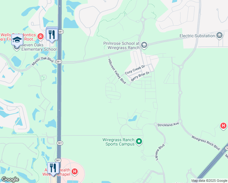 map of restaurants, bars, coffee shops, grocery stores, and more near Tranquil Lake Circle in Wesley Chapel