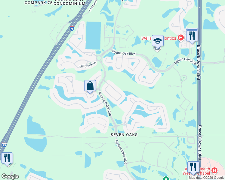 map of restaurants, bars, coffee shops, grocery stores, and more near 3311 Chapel Creek Circle in Wesley Chapel