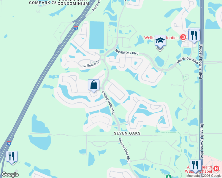 map of restaurants, bars, coffee shops, grocery stores, and more near 3311 Chapel Creek Cir in Wesley Chapel
