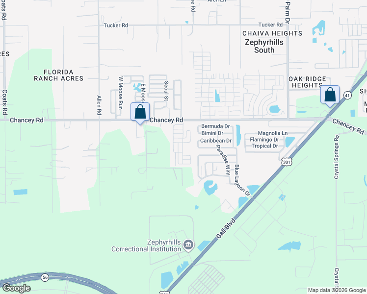map of restaurants, bars, coffee shops, grocery stores, and more near 42 Trailer Park in Zephyrhills