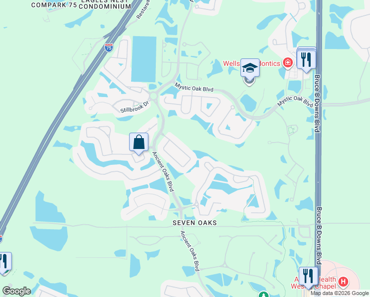 map of restaurants, bars, coffee shops, grocery stores, and more near 3434 Chapel Creek Circle in Wesley Chapel