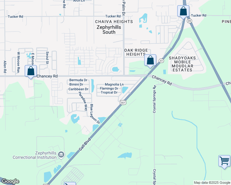 map of restaurants, bars, coffee shops, grocery stores, and more near 410 Tropical Drive in Zephyrhills