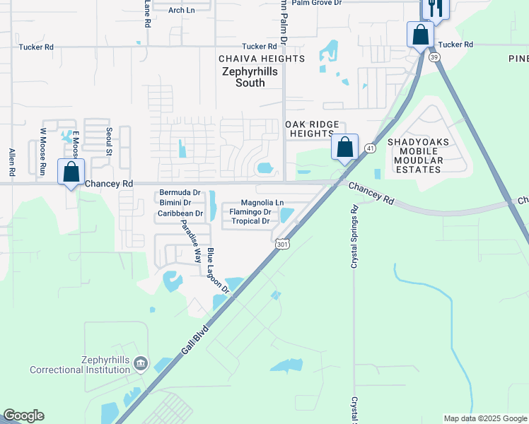 map of restaurants, bars, coffee shops, grocery stores, and more near 410 Tropical Drive in Zephyrhills