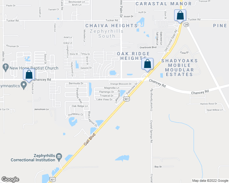 map of restaurants, bars, coffee shops, grocery stores, and more near 410 Tropical Drive in Zephyrhills