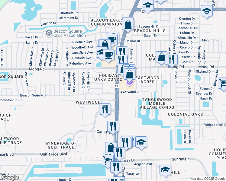 map of restaurants, bars, coffee shops, grocery stores, and more near 3323 U.S. 19 in Holiday