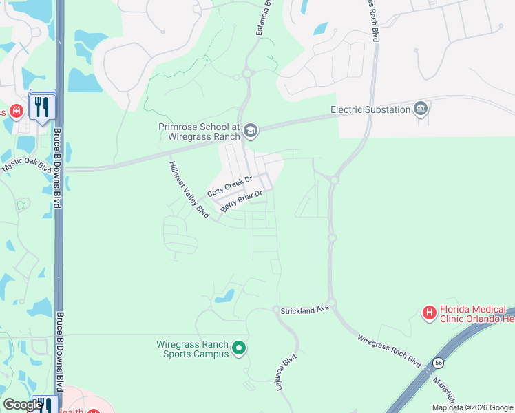 map of restaurants, bars, coffee shops, grocery stores, and more near 28761 Sweet Persimmon Drive in Wesley Chapel
