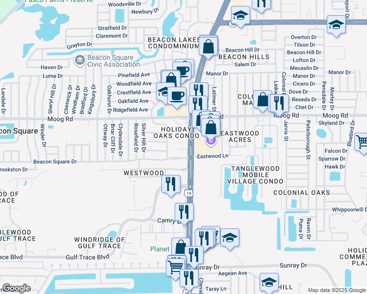 map of restaurants, bars, coffee shops, grocery stores, and more near 3323 U.S. 19 in Holiday
