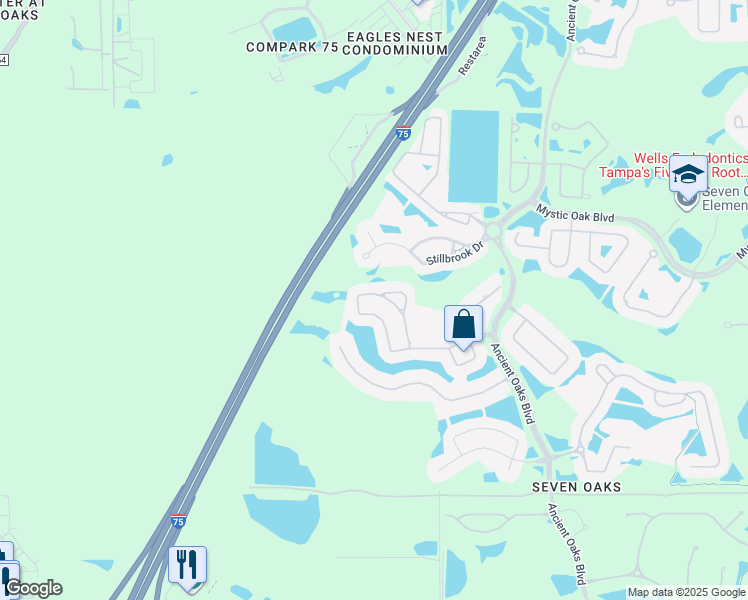 map of restaurants, bars, coffee shops, grocery stores, and more near 26615 Shoregrass Drive in Wesley Chapel