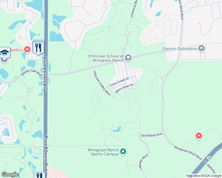 map of restaurants, bars, coffee shops, grocery stores, and more near 28570 Sweet Persimmon Drive in Wesley Chapel
