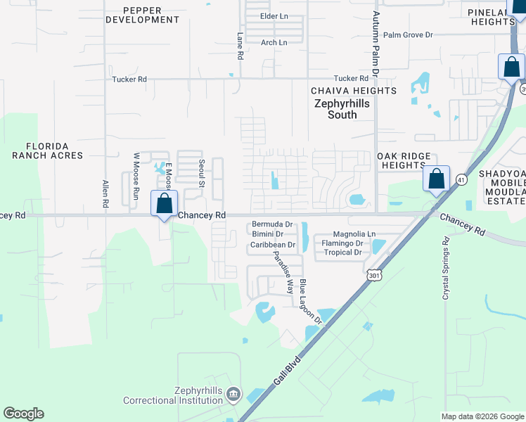 map of restaurants, bars, coffee shops, grocery stores, and more near 37520 Alexis Street in Zephyrhills