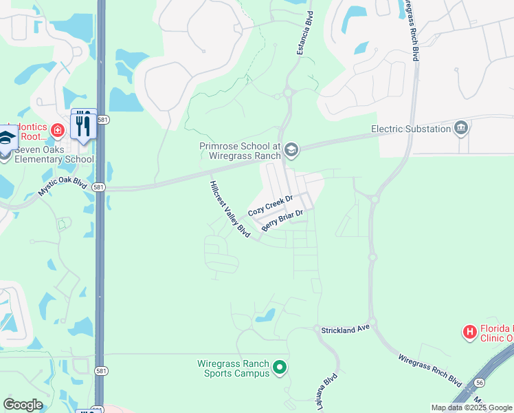 map of restaurants, bars, coffee shops, grocery stores, and more near 28599 Cozy Creek Drive in Wesley Chapel