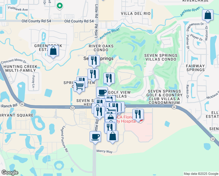 map of restaurants, bars, coffee shops, grocery stores, and more near 3209 Lori Lane in New Port Richey