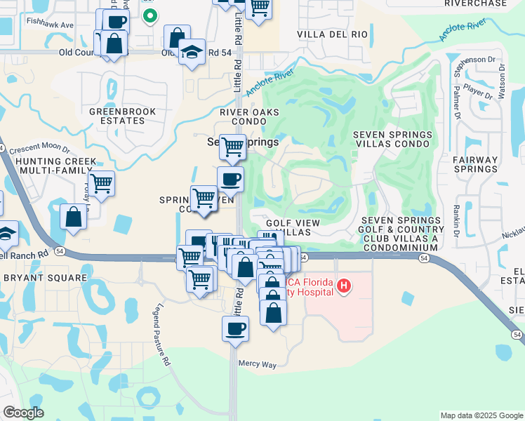 map of restaurants, bars, coffee shops, grocery stores, and more near 3209 Lori Lane in New Port Richey