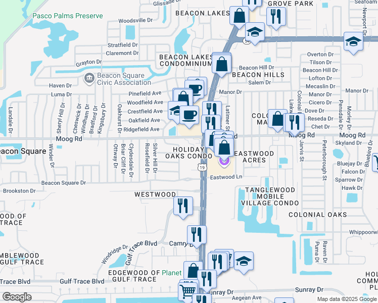 map of restaurants, bars, coffee shops, grocery stores, and more near 3426 Pinehurst Drive in Holiday
