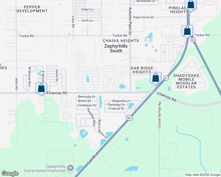 map of restaurants, bars, coffee shops, grocery stores, and more near 311 Country Charm Boulevard in Zephyrhills