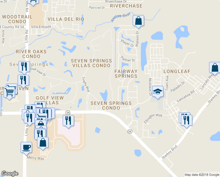 map of restaurants, bars, coffee shops, grocery stores, and more near 3429 Teeside Drive in New Port Richey