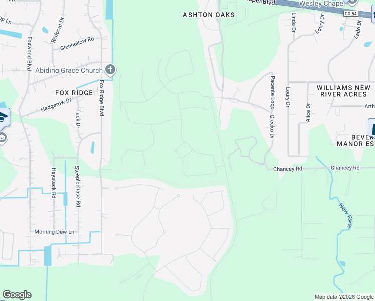 map of restaurants, bars, coffee shops, grocery stores, and more near 32565 Veneto Place in Wesley Chapel