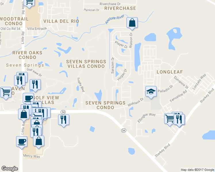 map of restaurants, bars, coffee shops, grocery stores, and more near 3440 Teeside Drive in New Port Richey