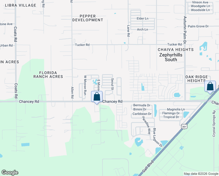map of restaurants, bars, coffee shops, grocery stores, and more near 103 Sidney Street in Zephyrhills