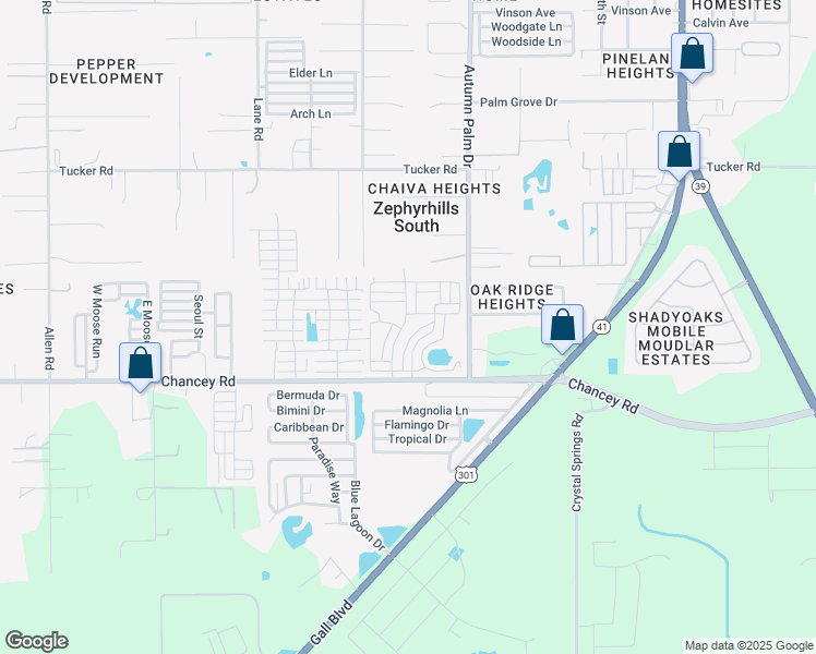 map of restaurants, bars, coffee shops, grocery stores, and more near 251 Trailer Park in Zephyrhills
