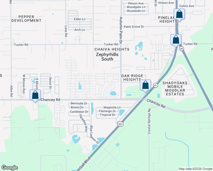 map of restaurants, bars, coffee shops, grocery stores, and more near 251 Trailer Park in Zephyrhills