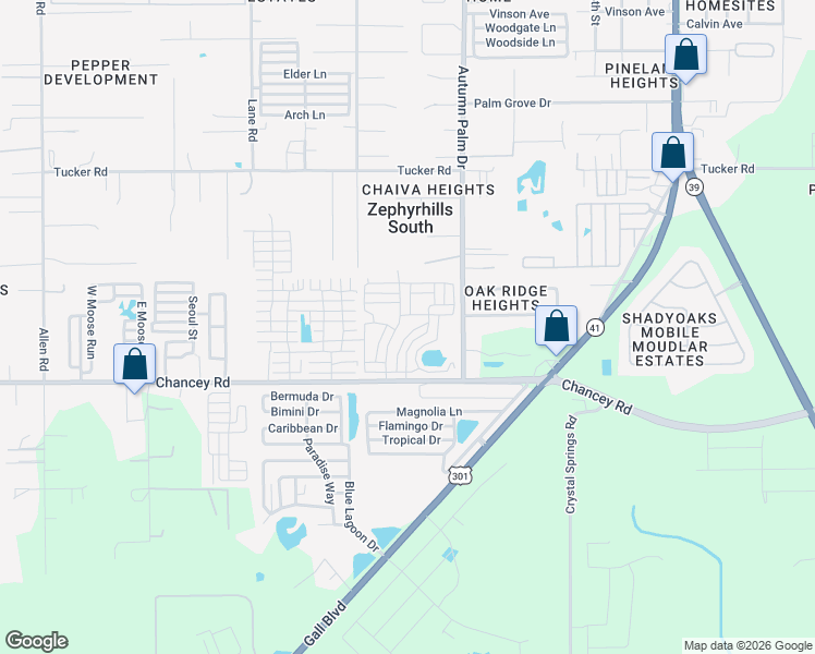 map of restaurants, bars, coffee shops, grocery stores, and more near 251 Trailer Park in Zephyrhills