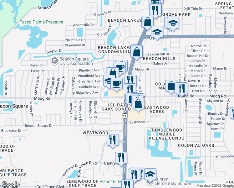 map of restaurants, bars, coffee shops, grocery stores, and more near 3501 Universal Plaza in New Port Richey