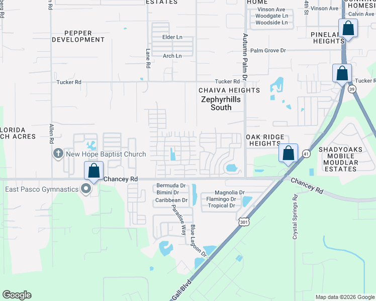 map of restaurants, bars, coffee shops, grocery stores, and more near Florence Avenue in Zephyrhills