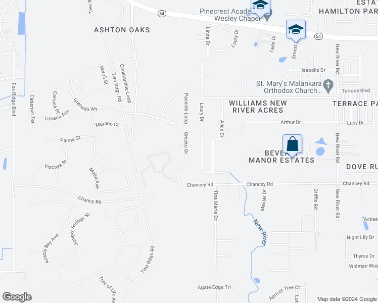 map of restaurants, bars, coffee shops, grocery stores, and more near 3636 Grecko Drive in Wesley Chapel