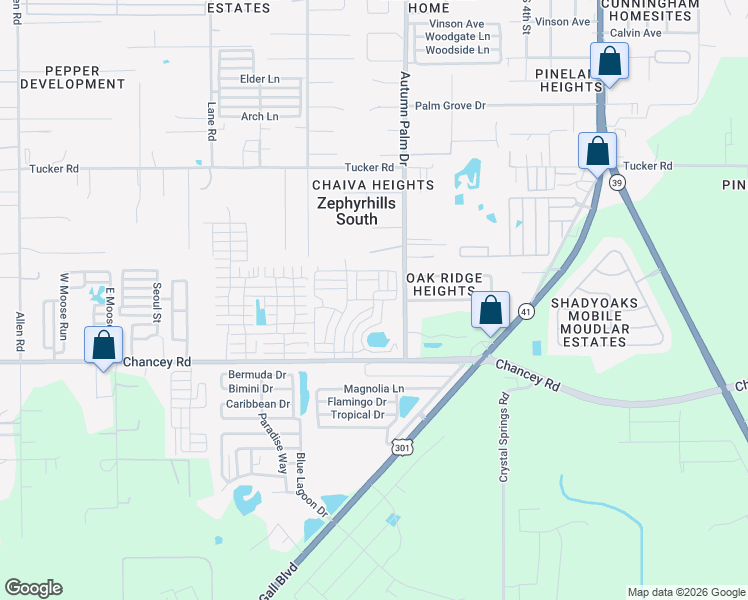 map of restaurants, bars, coffee shops, grocery stores, and more near Brice Street in Zephyrhills