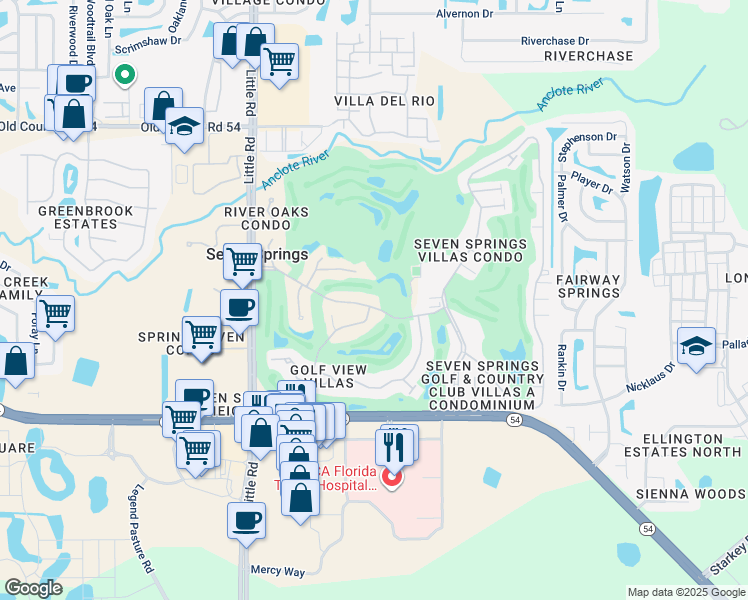 map of restaurants, bars, coffee shops, grocery stores, and more near 9307 Golf View Drive in New Port Richey